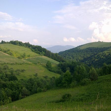 Hotel Javor Kušići Buitenkant foto