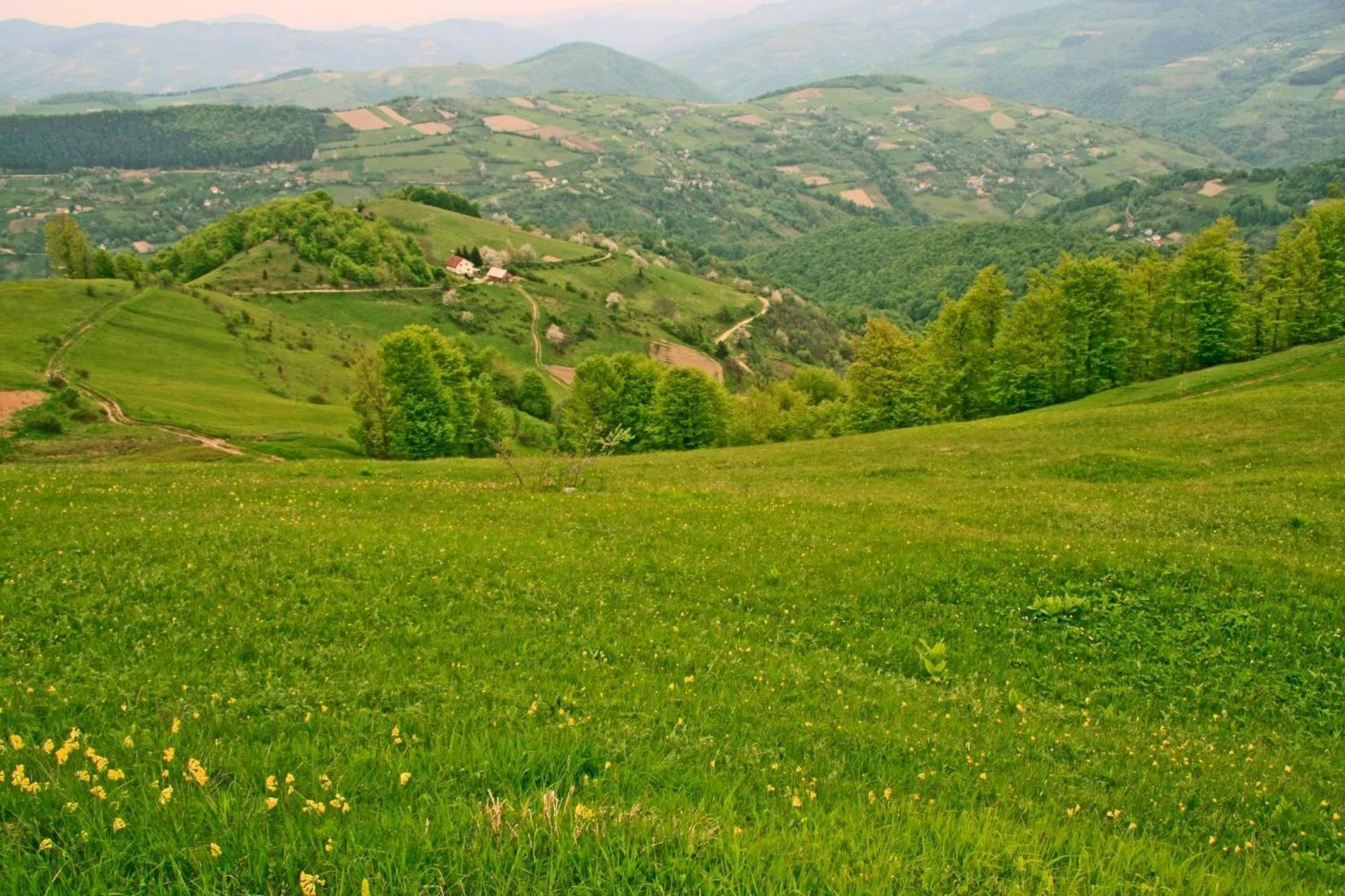 Hotel Javor Kušići Buitenkant foto